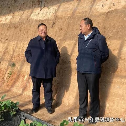 共康新村最新视频展示及深度解析